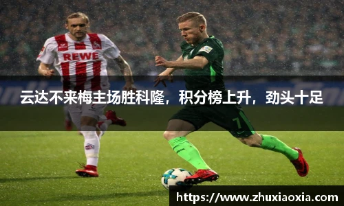 BB视讯官方网站