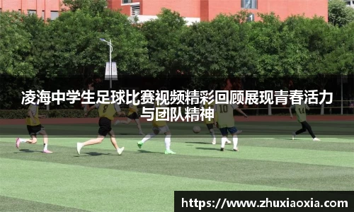 BB视讯官网