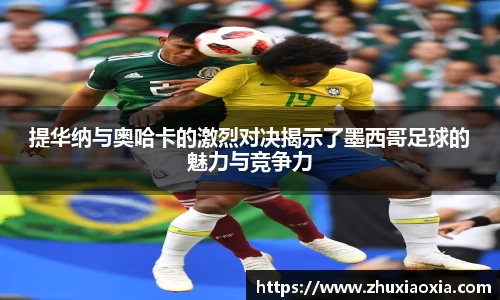 BB视讯官网