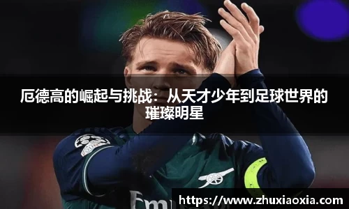 BB视讯官网