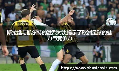 BB视讯官方网站