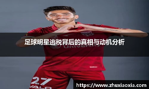 足球明星逃税背后的真相与动机分析