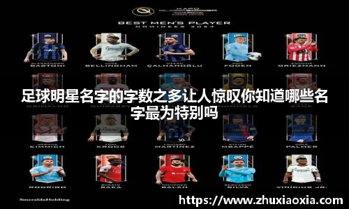 BB视讯官方网站