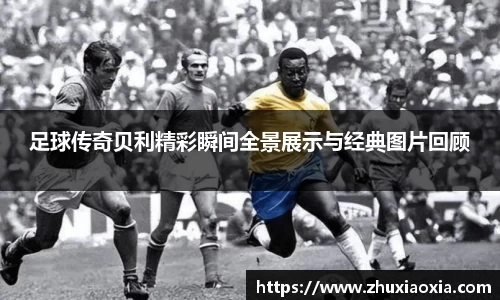 BB视讯官方网站